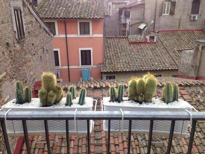 Апартаменты Campo Dei Fiori Funny Flat Рим Экстерьер фото
